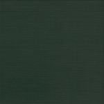 54G-LIGHT EMERY GREEN